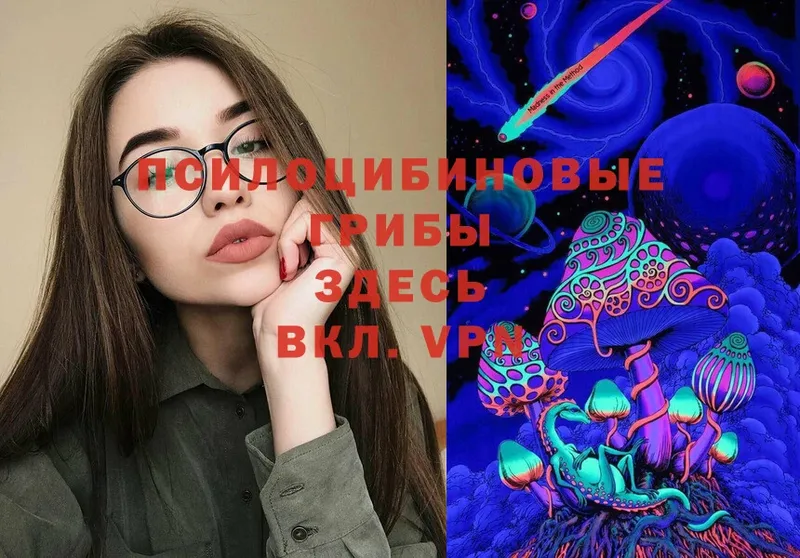 Псилоцибиновые грибы Magic Shrooms  Енисейск 